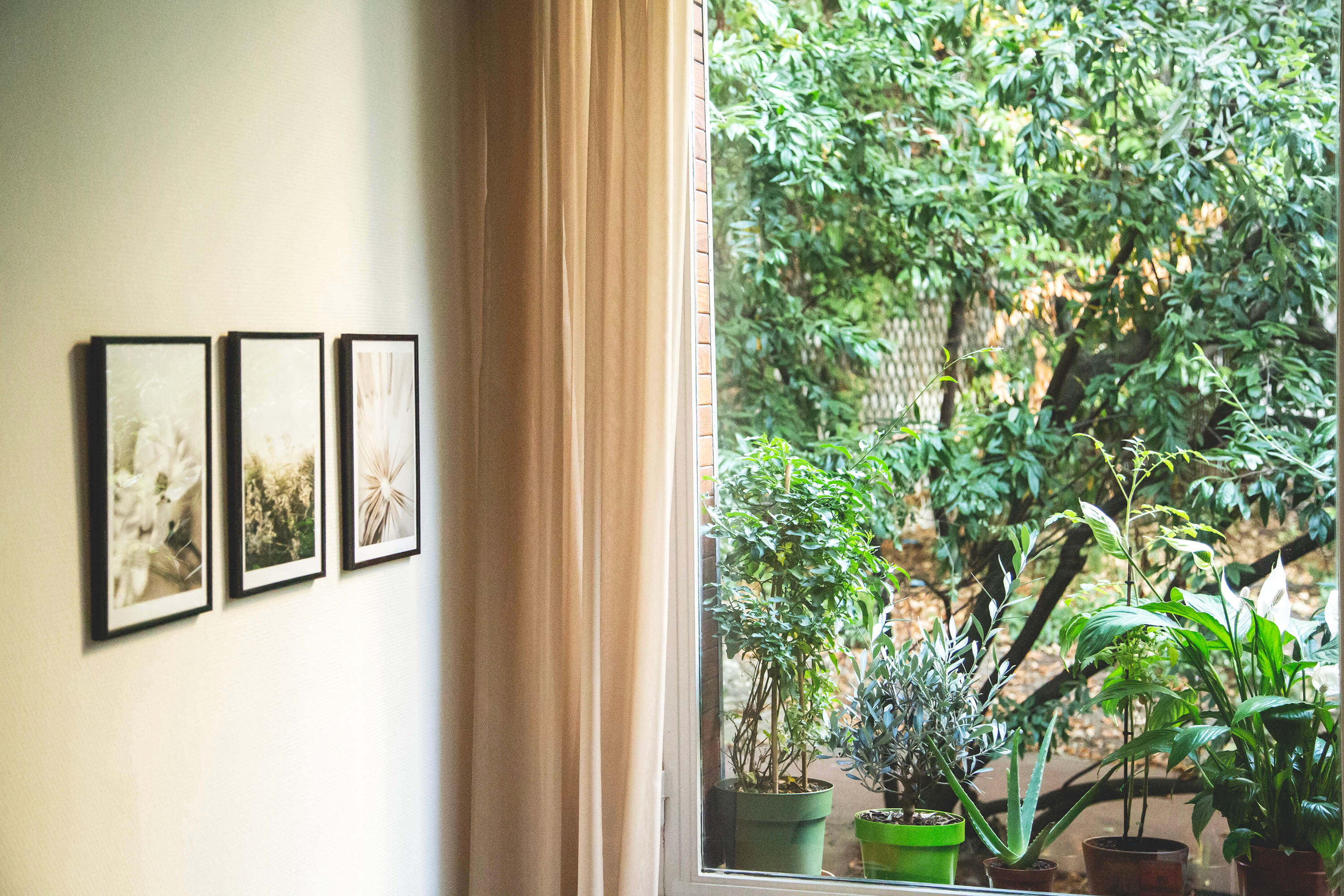 Espace intérieur lumineux avec des plantes et des photos encadrées